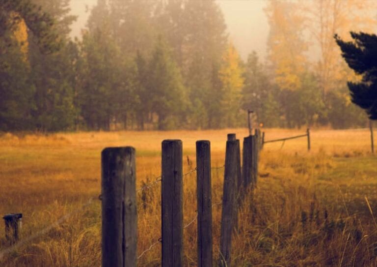 She kissed a boy and he didn’t like it